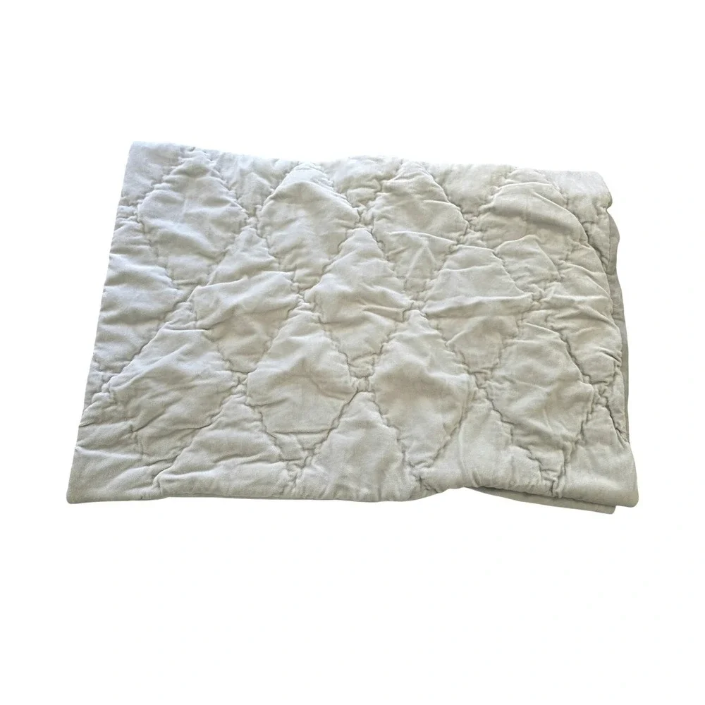 Restoration Hardware Organic Cotton Velvet Diamond Sham Grey Standard Size